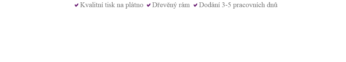  Kvalitní tisk na plátno Dřevěný rám Dodání 3-5 pracovních dnů 